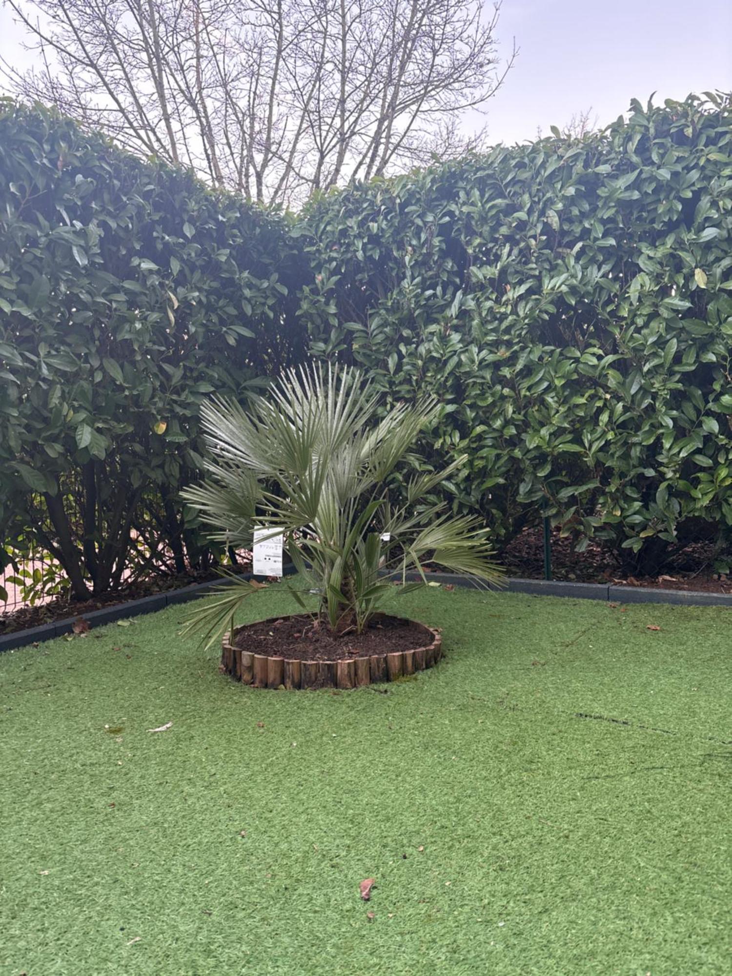 Romantisme Et Glamour Avec Spa ,Jardin Proche Zenith Dijon Zewnętrze zdjęcie